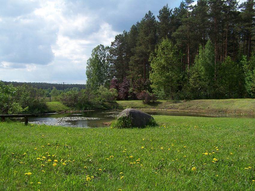 article's gallery item