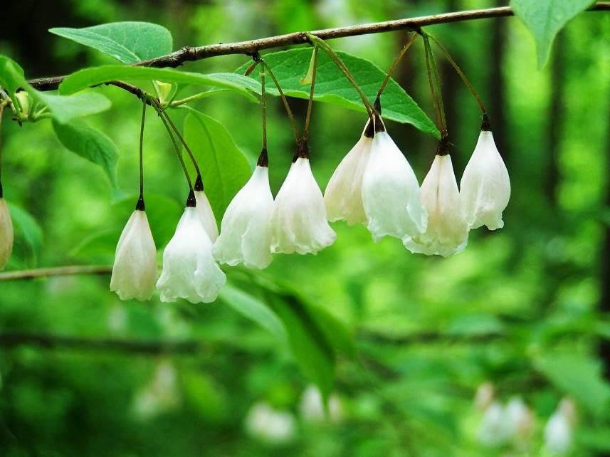 article's gallery item